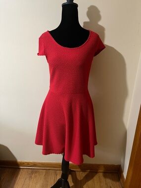 No Boundaries Red Textured Fit & Flare Mini Dress